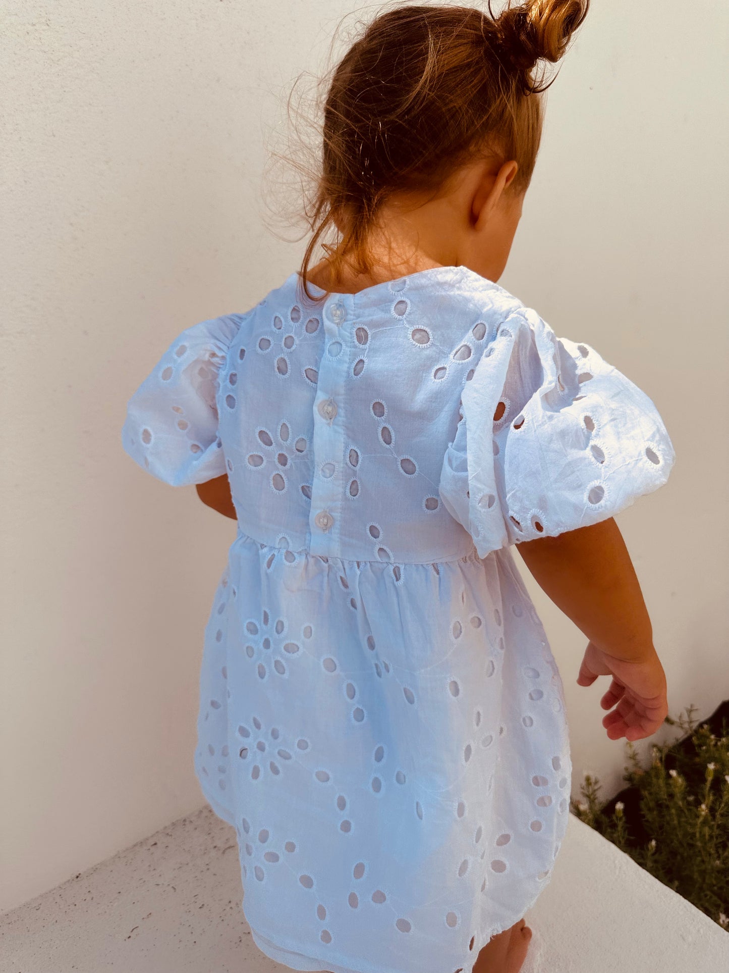 Anglaise Puff Sleeve Dress